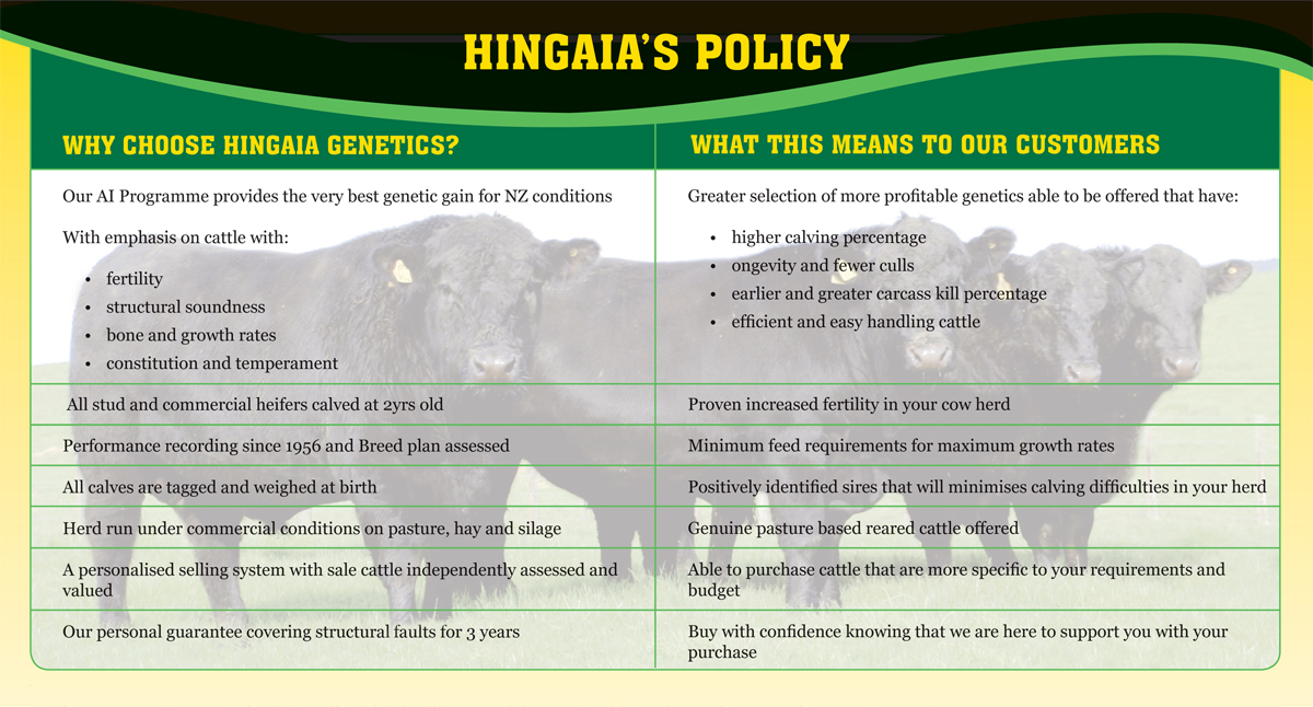 why choose hingaia angus why choose hingaia angus
